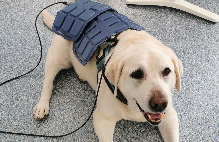 Magnesterapia-Kozpontinkban