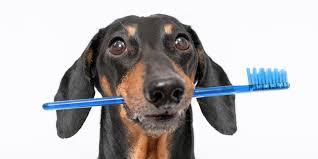 Komplex-fogaszati-ellatas